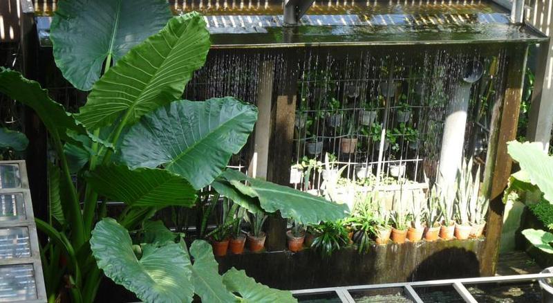Rumah Turi Eco Boutique Hotel Surakarta  Exterior photo
